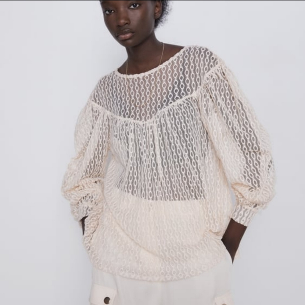 Zara embroidered tulle top